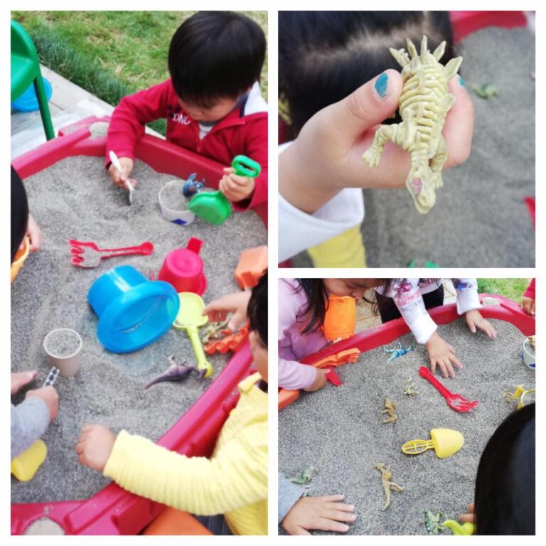 Let's have a dinosaur exploration week! One of today's activities is to dig out the dinosaur fossils and to examine them from head to toe!