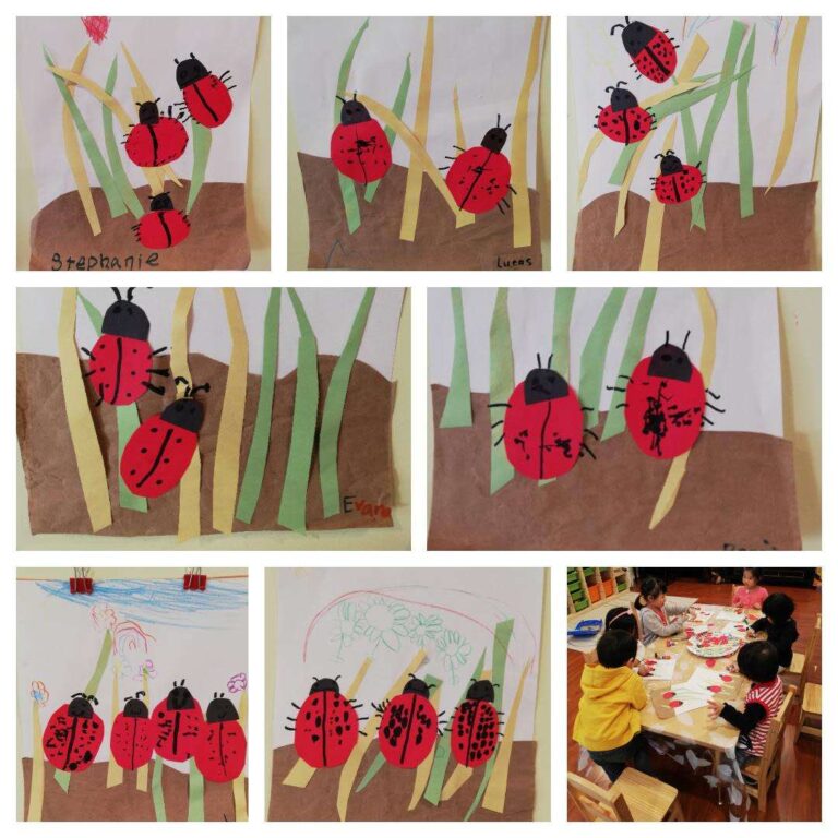 Spring is finally here, so are the ladybugs! ☀️