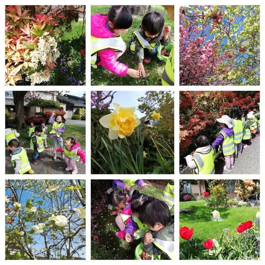 Fabulous walk in our daycare’s neighbourhood on a beautiful day in Spring! ☀️ ☀️